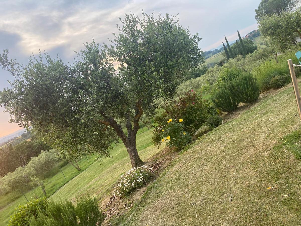 Agriturismo Palazzo Val Del Sasso Villastrada  Esterno foto